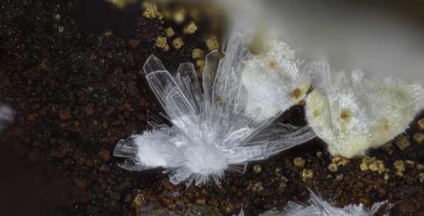 Rauenthalite Phaunouxite