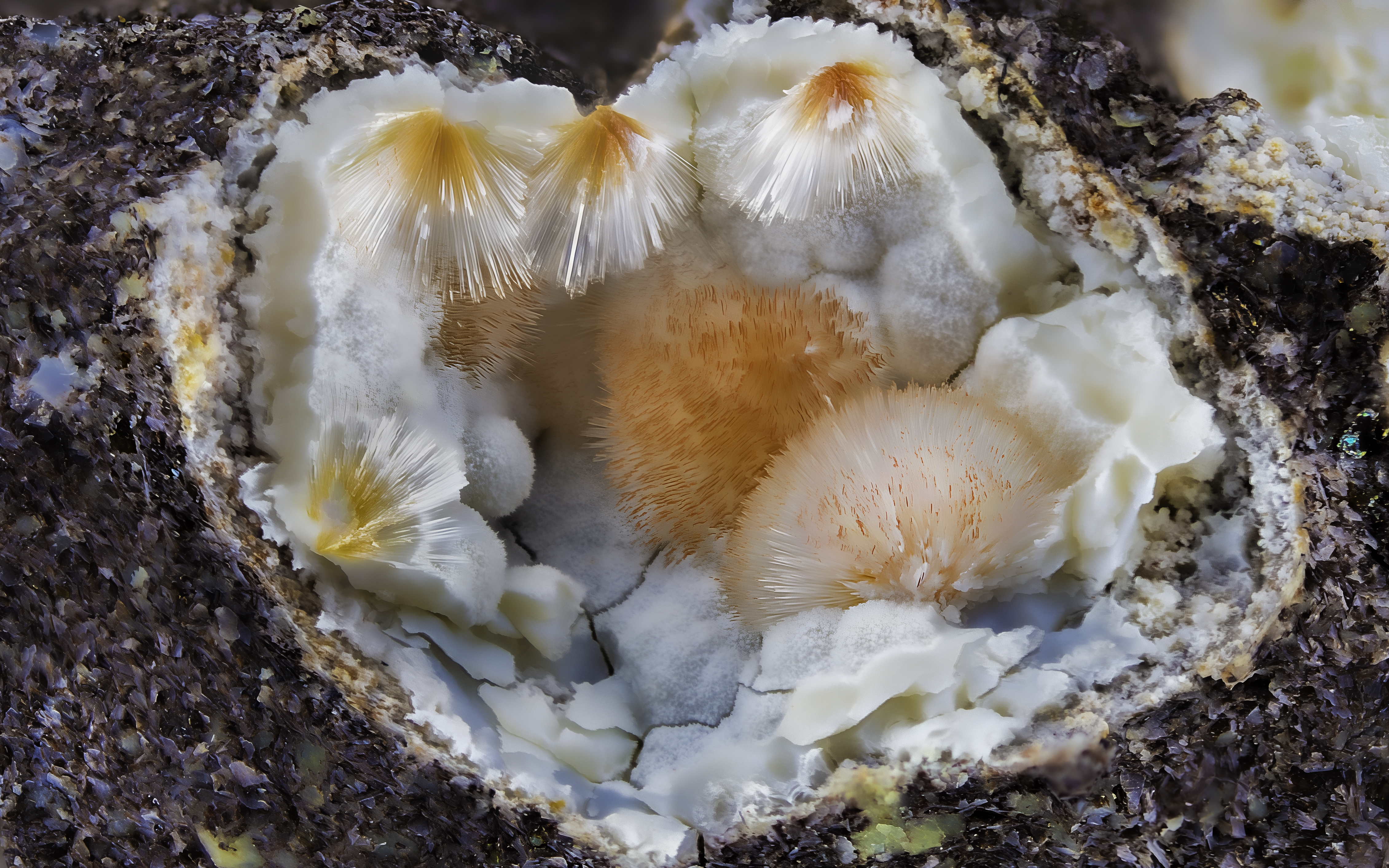 Mineral Picture in a Black Frame