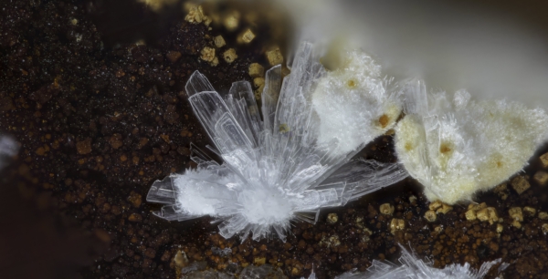 Rauenthalite Phaunouxite